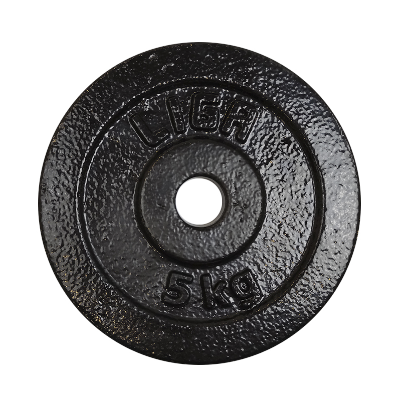 Cast Iron Discs 5kg (Φ28) Ligasport