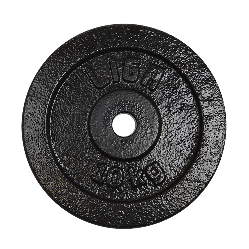 Cast Iron Discs 10kg (Φ28) Ligasport